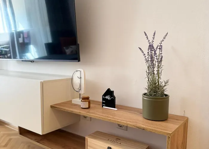 Apartment Ani