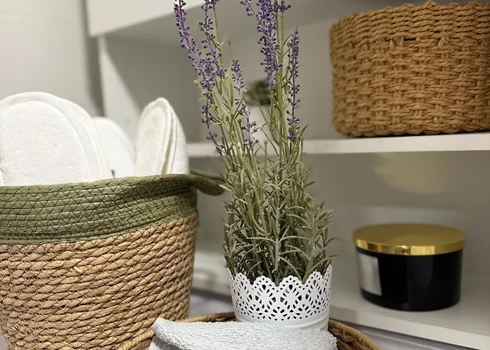 Ani دوبروفينك