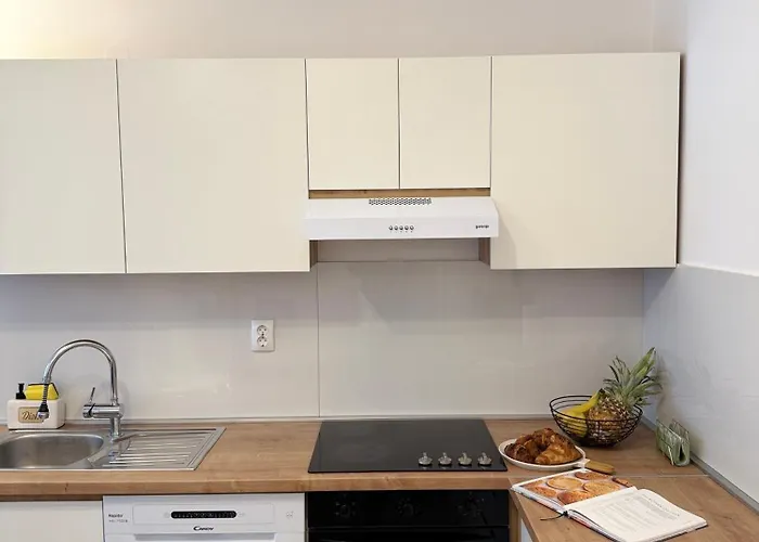 Apartment Ani *