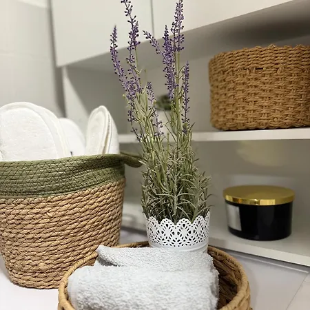 Ani Дубровник